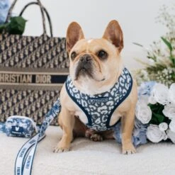 Frenchie Poo Bag Holder - Toile- Blue -Bandana Buddy Shop Toile Blue 7 14c1f3d8 ab36 4bba b471 ac5e62822c47