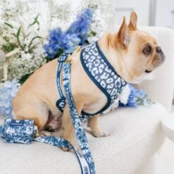Frenchie Duo Reversible Harness - Toile- Blue -Bandana Buddy Shop Toile Blue 8