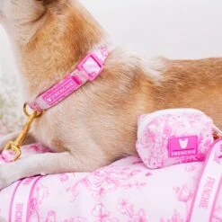 Frenchie Poo Bag Holder - Toile- Pink -Bandana Buddy Shop Toile Pink 16 386b8215 ea1f 4d07 a13e 4668d716725d