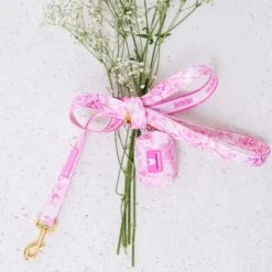Frenchie Poo Bag Holder - Toile- Pink -Bandana Buddy Shop Toile Pink 18 72acb06e 84c1 40c7 ade8 6c1bf14f599f