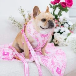 Frenchie Comfort Leash - Toile- Pink -Bandana Buddy Shop Toile Pink 4 4125e8a9 5798 4280 9347 9e9d9851524a