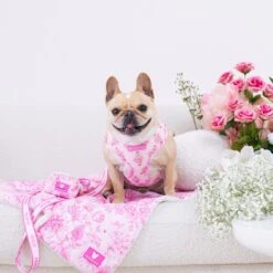 Frenchie Comfort Leash - Toile- Pink -Bandana Buddy Shop Toile Pink 9 79bb5d2e a684 4bc3 abf6 14e93c4d3a27