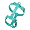 Frenchie Strap Harness - Aqua 1 Frenchie Strap Harness - Aqua -Bandana Buddy Shop aquaproduct142