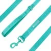 Frenchie Comfort Leash - Aqua -Bandana Buddy Shop aquaproduct148