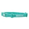 Frenchie Comfort Collar - Aqua 2 Frenchie Comfort Collar - Aqua -Bandana Buddy Shop aquaproduct150
