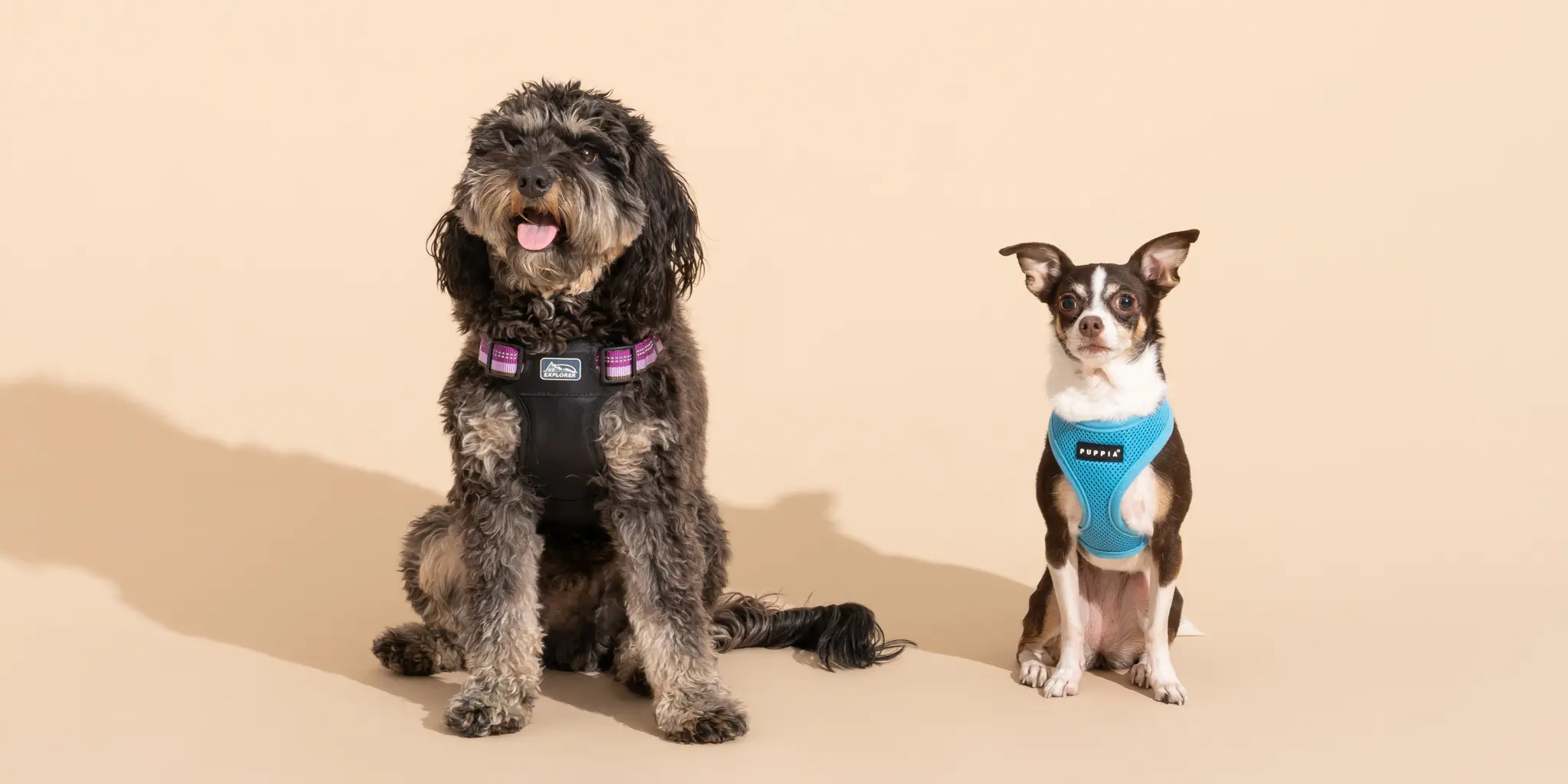 Bandana Buddy Shop -Bandana Buddy Shop dogharnesses 2048px 7126 2x1 1