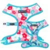 Frenchie Duo Reversible Harness - Paradise 2 Frenchie Duo Reversible Harness - Paradise -Bandana Buddy Shop frenchie bulldog reversible harness leash collar poo bag bandana Paradise 003