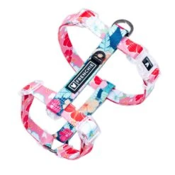 Frenchie Strap Harness - Paradise