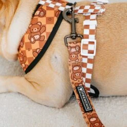 Frenchie Comfort Leash - Teddy Bear -Bandana Buddy Shop frenchie bulldog reversible harness leash collar poo bag bandana brown teddy bear 003