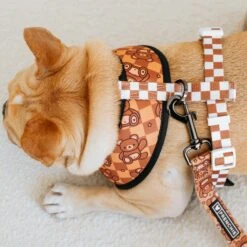 Frenchie Duo Reversible Harness - Teddy Bear -Bandana Buddy Shop frenchie bulldog reversible harness leash collar poo bag bandana brown teddy bear 004