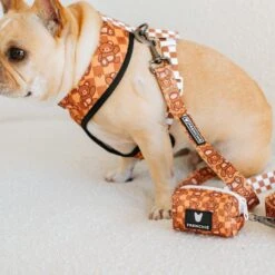 Frenchie Poo Bag Holder - Teddy Bear -Bandana Buddy Shop frenchie bulldog reversible harness leash collar poo bag bandana brown teddy bear 007