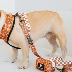 Frenchie Comfort Leash - Teddy Bear -Bandana Buddy Shop frenchie bulldog reversible harness leash collar poo bag bandana brown teddy bear 009