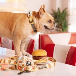 Frenchie Comfort Collar - Burger N Fries -Bandana Buddy Shop frenchie bulldog reversible harness leash collar poo bag bandana burger n fries 107
