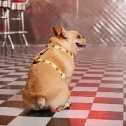 Frenchie Strap Harness - Burger N Fries -Bandana Buddy Shop frenchie bulldog reversible harness leash collar poo bag bandana burger n fries 117