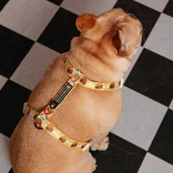 Frenchie Strap Harness - Burger N Fries -Bandana Buddy Shop frenchie bulldog reversible harness leash collar poo bag bandana burger n fries 121