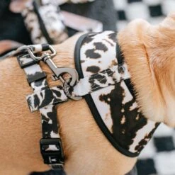 Frenchie Duo Reversible Harness - Earthy Tie Dye -Bandana Buddy Shop frenchie bulldog reversible harness leash collar poo bag bandana earthy tie dye 009