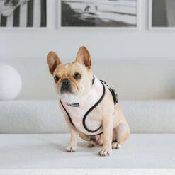 Frenchie Duo Reversible Harness - Earthy Tie Dye -Bandana Buddy Shop frenchie bulldog reversible harness leash collar poo bag bandana earthy tie dye 011