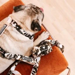 Frenchie Poo Bag Holder - Earthy Tie Dye -Bandana Buddy Shop frenchie bulldog reversible harness leash collar poo bag bandana earthy tie dye 056