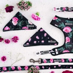 Frenchie Cooling Bandana - Moody Floral -Bandana Buddy Shop frenchie bulldog reversible harness leash collar poo bag bandana moody floral roses garden 011 10782027 055a 4007 a1cd 1a75ef9cc9c3