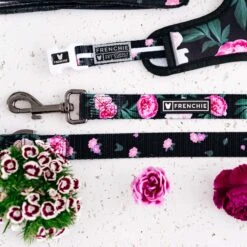 Frenchie Comfort Leash - Moody Floral -Bandana Buddy Shop frenchie bulldog reversible harness leash collar poo bag bandana moody floral roses garden 015