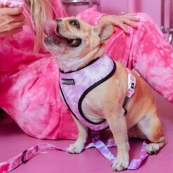 Frenchie Duo Reversible Harness - Pink Tie Dye -Bandana Buddy Shop frenchie bulldog reversible harness leash collar poo bag bandana pink tie dye 023