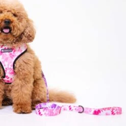Frenchie Comfort Leash - Pink Tie Dye -Bandana Buddy Shop frenchie bulldog reversible harness leash collar poo bag bandana pink tie dye 045