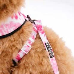 Frenchie Comfort Leash - Pink Tie Dye -Bandana Buddy Shop frenchie bulldog reversible harness leash collar poo bag bandana pink tie dye 049