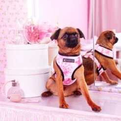 Frenchie Duo Reversible Harness - Pink Tie Dye -Bandana Buddy Shop frenchie bulldog reversible harness leash collar poo bag bandana pink tie dye 057