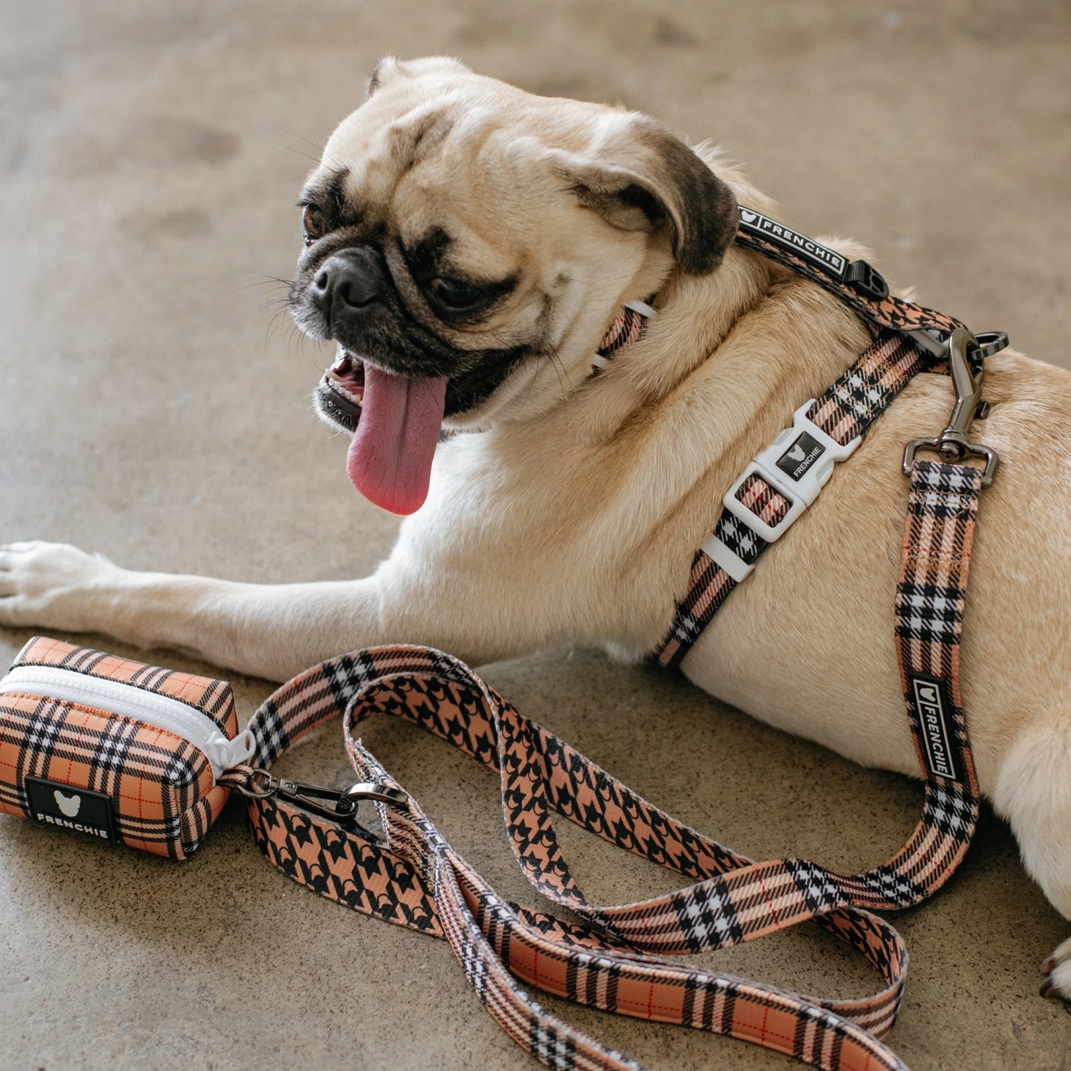 Frenchie Comfort Leash - Tan Tartan 4 Frenchie Comfort Leash - Tan Tartan - Image 2