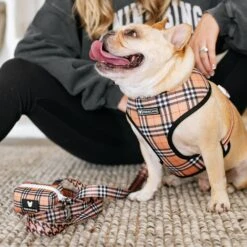 Frenchie Poo Bag Holder - Tan Tartan 14 Frenchie Poo Bag Holder - Tan Tartan -Bandana Buddy Shop frenchie bulldog reversible harness leash collar poo bag bandana tan tartan 051 06455057 b1f8 4b70 ac89 4f531213aad1