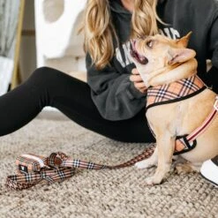 Frenchie Comfort Leash - Tan Tartan 11 Frenchie Comfort Leash - Tan Tartan -Bandana Buddy Shop frenchie bulldog reversible harness leash collar poo bag bandana tan tartan 055 8687dd2b 2f09 405a 8e8e 6efbf966b436