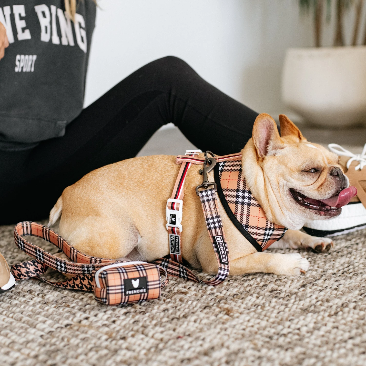 Frenchie Comfort Leash - Tan Tartan 6 Frenchie Comfort Leash - Tan Tartan - Image 4