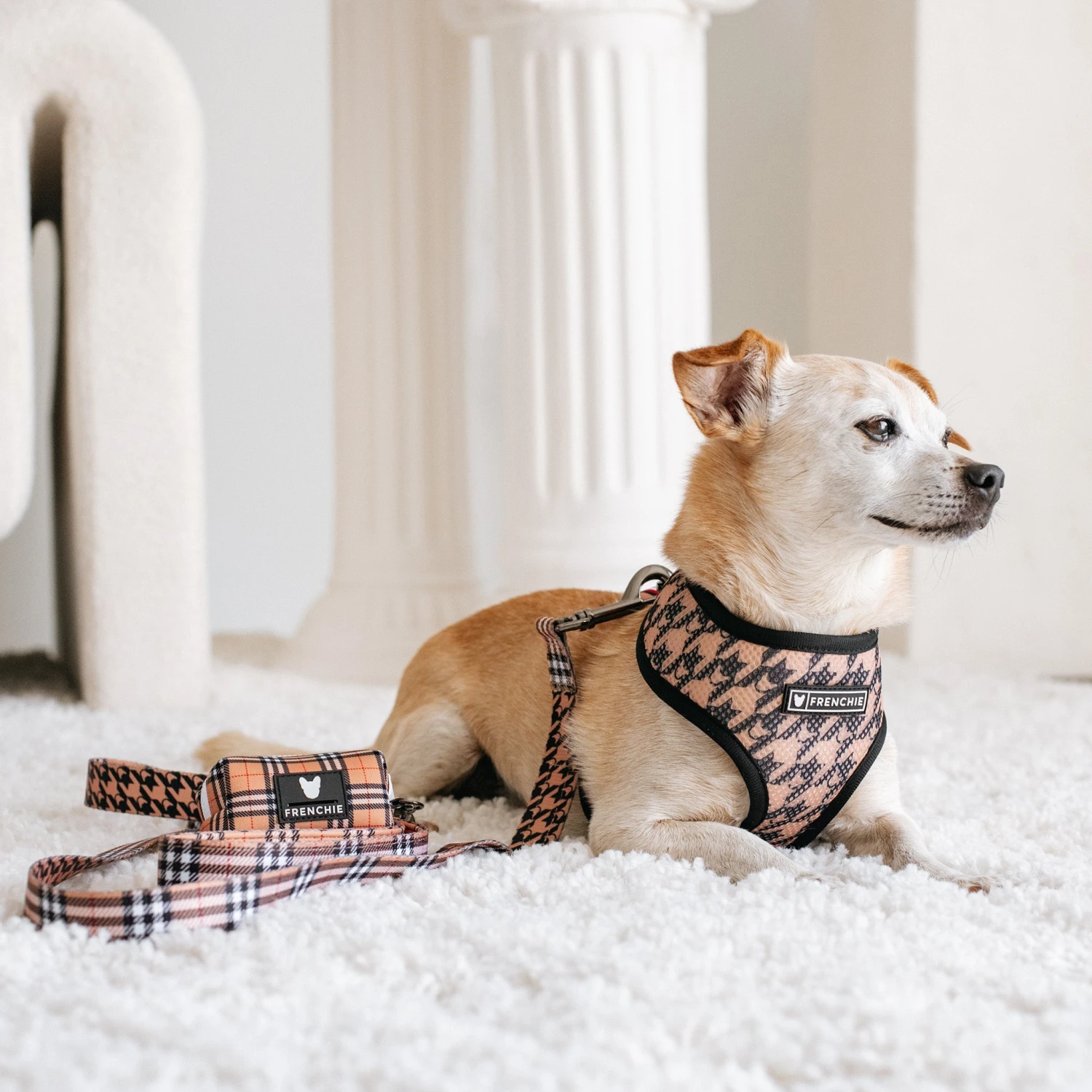 Frenchie Comfort Leash - Tan Tartan 7 Frenchie Comfort Leash - Tan Tartan - Image 5