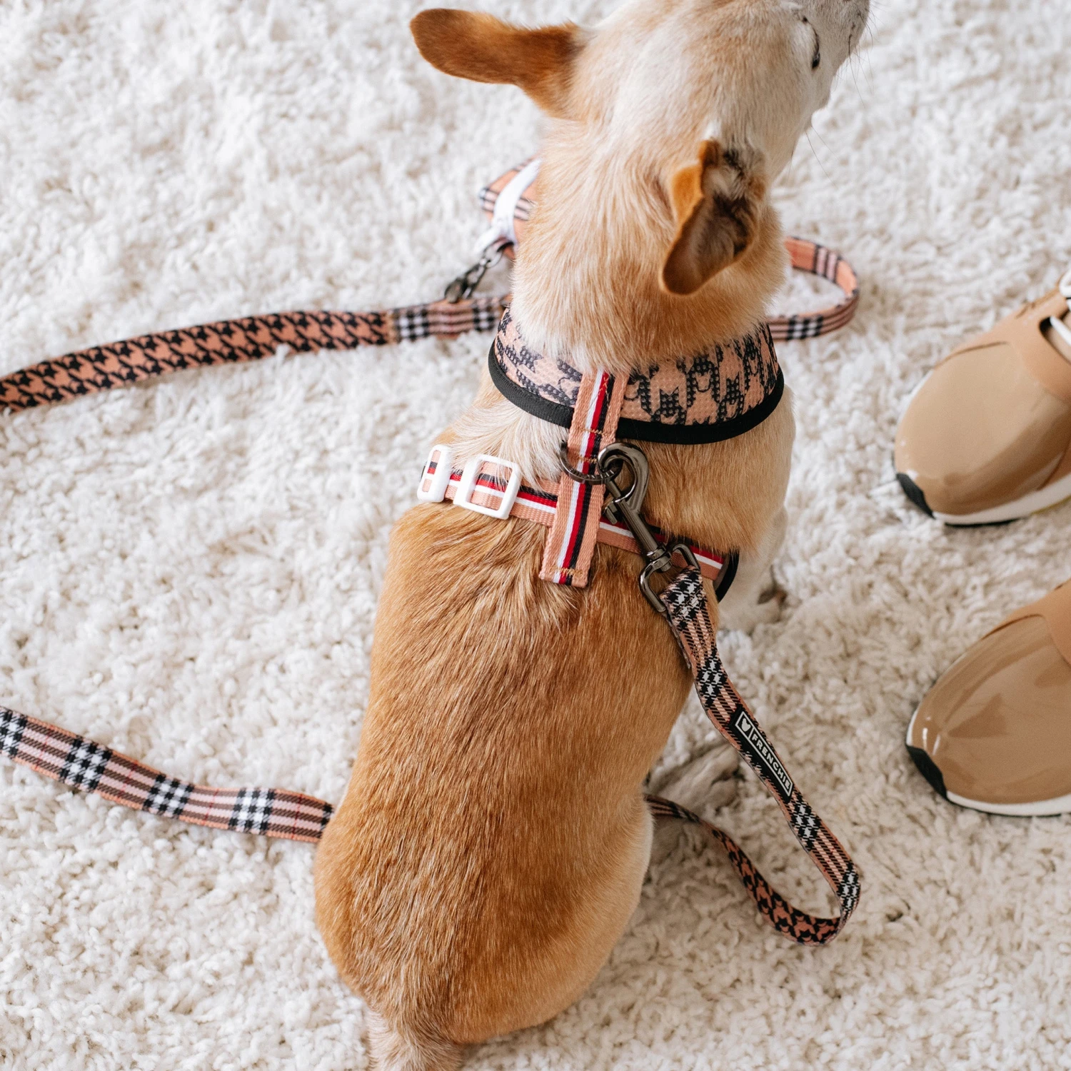 Frenchie Comfort Leash - Tan Tartan 8 Frenchie Comfort Leash - Tan Tartan - Image 6