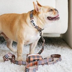 Frenchie Comfort Leash - Tan Tartan 15 Frenchie Comfort Leash - Tan Tartan -Bandana Buddy Shop frenchie bulldog reversible harness leash collar poo bag bandana tan tartan 109 05560481 6db9 4635 b946 c4b6b98601ad