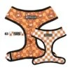 Frenchie Duo Reversible Harness - Teddy Bear -Bandana Buddy Shop frenchie duo reversible harness teddy bear